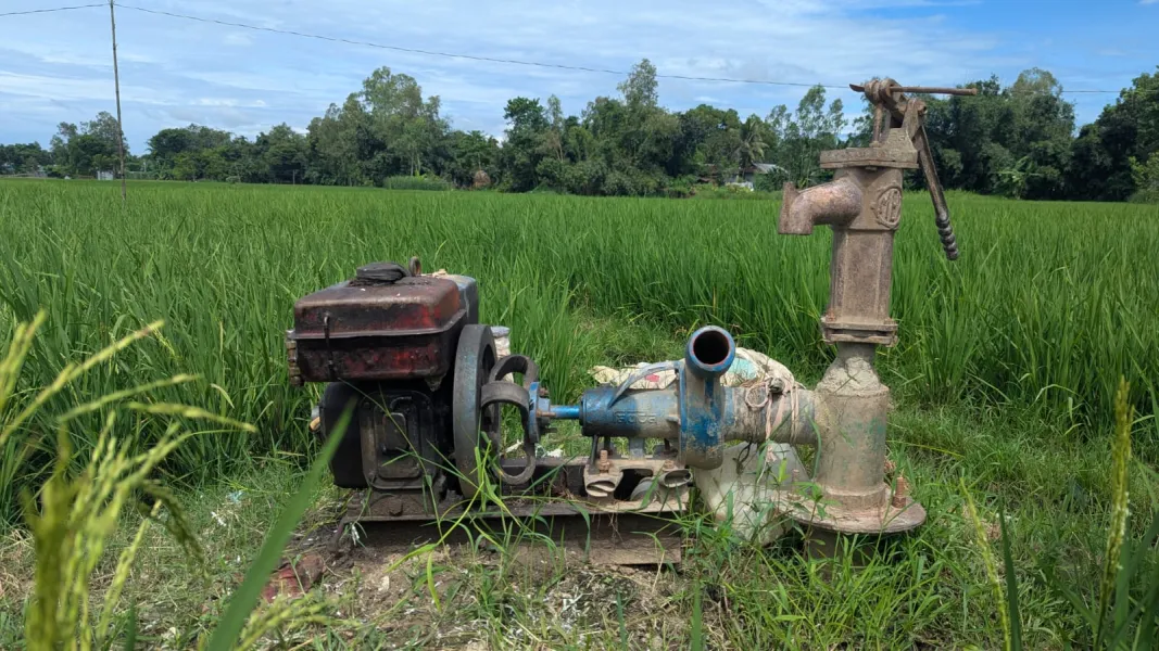 সংযুক্ত ছবি